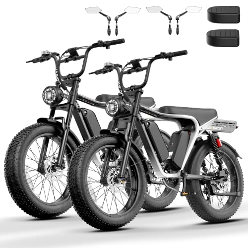 Image of Jasion RetroVolt Max Electric Bike, Dual Battery, 150-Mile Range, Fat Tire