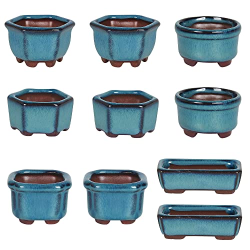Maceta para bonsái para suculentas de 4,5 cm, 10 mini macetas esmaltadas
