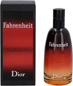 Perfume Masculino Dior Fahrenheit 100ml Edt