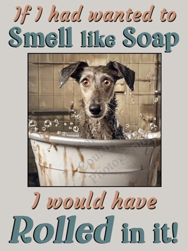 Whippet Gifts