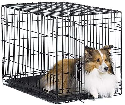medium wire dog crate