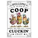 Chicken Coop Metal Sign, Vintage Welcome to Our Coop Tin Plaque, Funny Chicken Wall Art for Garden, Farm, Kitchen Decor, Man Cave, Retro Metal Wall Decor, 30x20cm by DWUENT