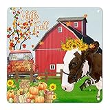 Photo Gallery decorazione da parete autunnale hello fall cow con girasole, targa in latta con scritta in inglese "hello fall cow with sunflower" (lingua italiana non garantita), cartello in metallo shabby chic per Photo Gallery decorazione da parete autunnale hello fall cow con girasole, targa in latta con scritta in inglese "hello fall cow with sunflower" (lingua italiana non garantita), cartello in metallo shabby chic per