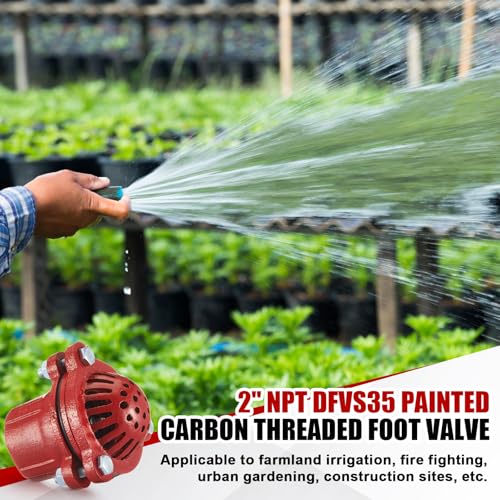 Image of MorningRo 2 Inch Cast Iron Foot Valve NPT Painted Carbon Threaded Foot Valve for Water Service Only