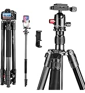 2022 New Professional Camera Tripod with Phone Mount, 65" DSLR Tripod for Travel, Super Lightweig...