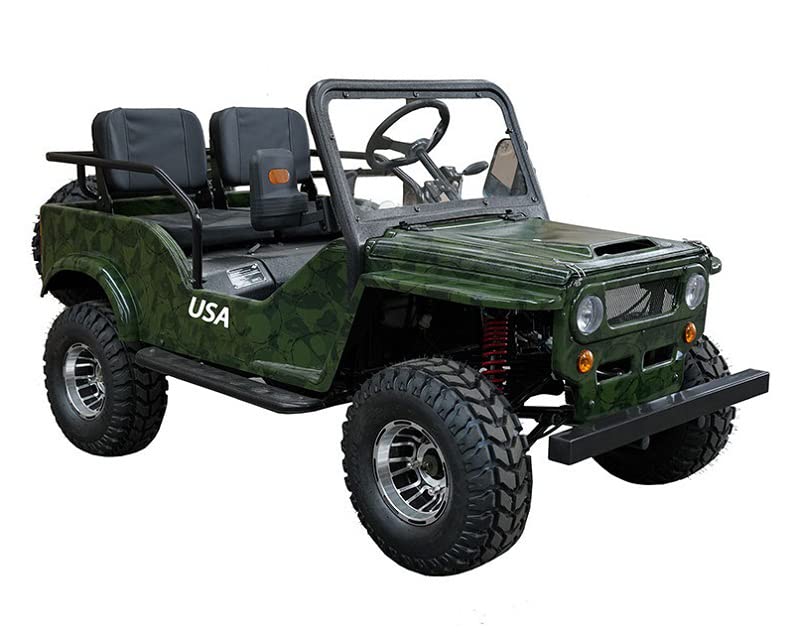 HHH Adults and Youth VITACCI GR2-125cc Go Kart with 3 Speed Semi-Automatic with Reverse and Big 18 inch Aluminium Rim Wheels RPS TK125JP (Green) - Large