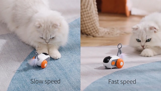 Jouet pour Chat Interactif Télécommandé - J'aime Vraiment Chat