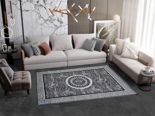 ALFOMBRAS IBERIA Alfombra de Salon Moderna de diseño VERSACH | De Pelo Corto en Polipropileno Frisse y 100% Lavable | |...