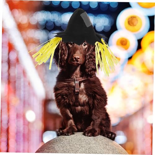 Sombrero Disfraz Halloween para Perros y Gatos BESPORTBLE miniatura 4