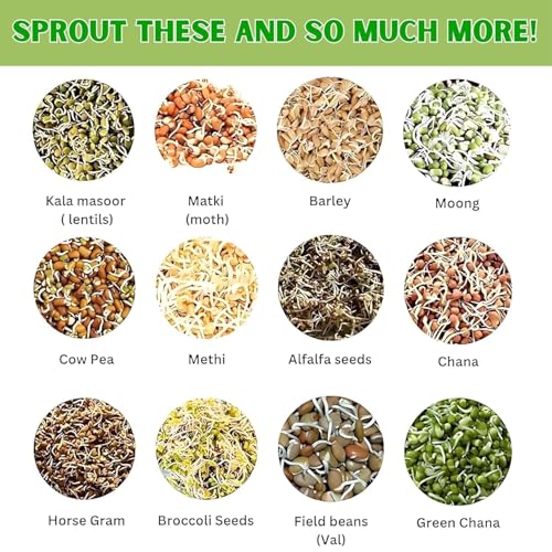 Image of Plastic Sprout Maker Jar with Handle & Strainer Lid (PackOf 1) | 720 ml Seed Germination Container for Moong, Chana, Mixed Sprouts | BPA-Free Kitchen Storage & Sprouting Jar