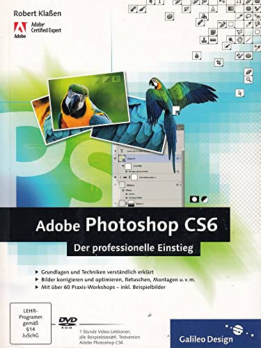 Adobe Photoshop CS6: Der professionelle Einstieg
