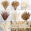 300 PCS Dried Pampas Grass Decor, Dried Flower Bouquets for Wedding, Home, Centerpiece Table, Modern Home, Western Living Room, Nurserie, Nursery, Boho Room, Beach, Women Office, and Boho Decor #1