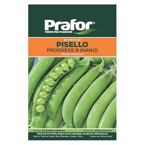 HORTUS Semi prafor di pisello Nano Progress (Grano rugoso)