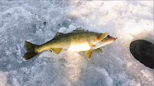 Ice Fishing Jigs With Treble Hooks Lead Jig Hooks Winter Metal Lures (2.09Inch/0.25Oz-4Pcs) #TOP4