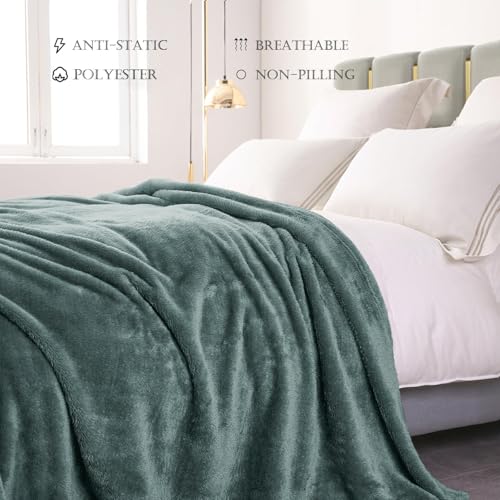 Image of Exclusivo Mezcla Plush Fuzzy Fleece Bed Blanket Twin Size, Super Soft, Fluffy and Warm Blankets for Couch, Bed, All Season (Celadon, 90x66 inches)