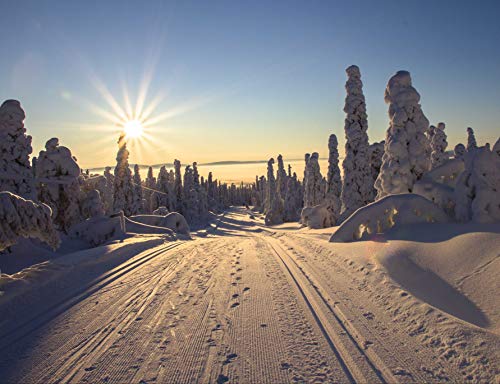 HANSEPUZZLE 70367 - Lappland Puzzle 1000 Teile | Natur Puzzle mit hochwertiger Puzzle Aufbewahrung: Kartonbox und Wieder verschließbarem Beutel | Puzzle-Maße: 60 x 46 cm Cover