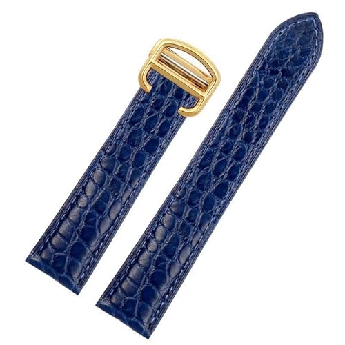 [CFWW] Caitier Tank London Cle De W5200027/24 W5200005 EHb`ohpU[uXbg(Blue-gold,18mm)