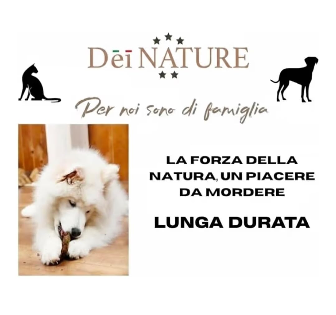 Snack di Nervo Di TORO PREMIUM 12 PEZZI DA12 CM,Diametro fino a 2 cm,dieta Barf, Nervi Selezionati 100% naturale, per salute orale e stress, lunga durata