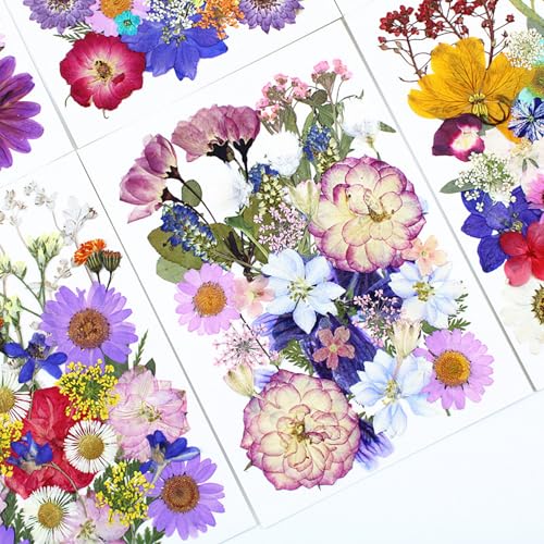 35 piezas flores secas prensadas para manualidades miniatura 4