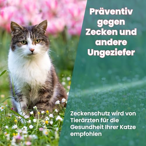 Animal Vita® Spot On Natürlicher Zeckenschutz für Katzen [6 Monate zuverlässiger Schutz] Natürliches Zeckenmittel für Katzen - Repellent gegen Zecken, mit Sofortwirkung