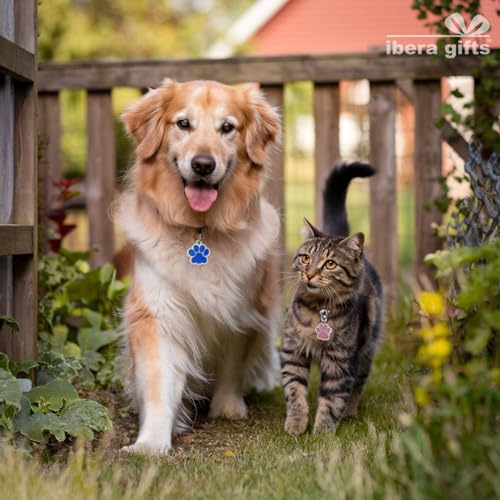 Ibera gifts - Hundemarke mit Gravur und personalisierte Hundemarke in Pfotenform, perfekt für kleine bis mittelgroße Haustiere (Schwarz)