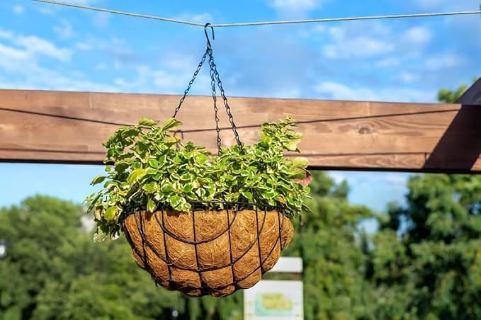 MUDDSTYLES Coco Coir 8 Inches Plant Container Wall Hanging Basket With Chain And Hook Indoor Outdoor Wall Hanging Gardning Planter Set (Pack Of 6),Black 1