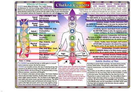 CHAKRA CENTROS Chart cartel muy detallado 24X36 nueva edad salud TOP NOTCH
