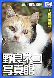 野良猫　【紙ジャケット】 野良猫 【紙ジャケット】 野良猫 【紙ジャケット】 Amazon.co.jp