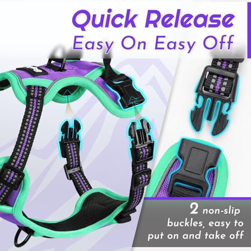 Image of Eagloo Dog Harness for Small Dogs, No Pull Pet Vest with 2 Leash Clips