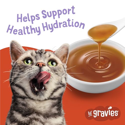 Purina Friskies Lil Gravies Cat Food Complement, (16) 1.55 oz Pouches - image 3