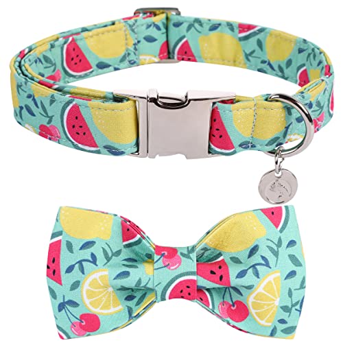 DogWong Summer Dog Collar with Bowtie, Cotton Fruit Lemon Dog ...
