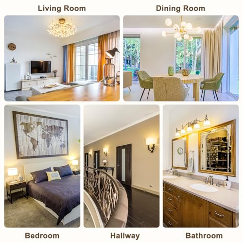 DiCUNO G9 LED Lampe warmweiß 2700K, LED Leuchtmittel 3W entspricht 30W-40W Halogenlampe, G9 Glühbirne 410 Lumen, kein Flackern, nicht dimmbar, Enegiesparende kleine Birne, 6er Pack