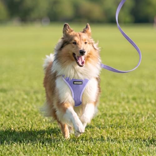 Image of Best Pet Supplies Voyager Step-in Air All Weather Mesh Harness and Reflective Dog 5ft Leash Combo with Neoprene Handle, for Small, Medium and Large Breed Puppies - Lavender, L