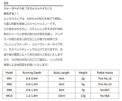 Rapala X-Rap Jerkbait XR10 Fishing Lure