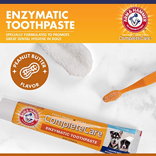 Arm & Hammer Kit dental para animais de estimação completo | Inclui pasta de dente para cães de 75 g