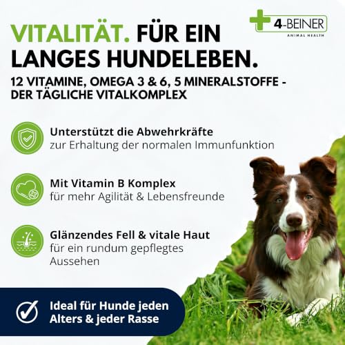 4-BEINER Vitality-Dog – Vitamine für Hunde & Mineralstoffe, 100 Tabletten