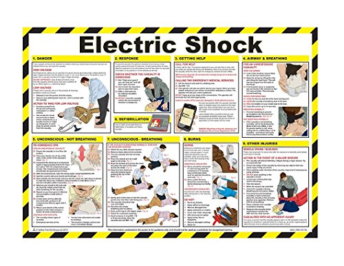 Image of Electric Shock Treatment Guide Laminated Poster 59cm X 42cm