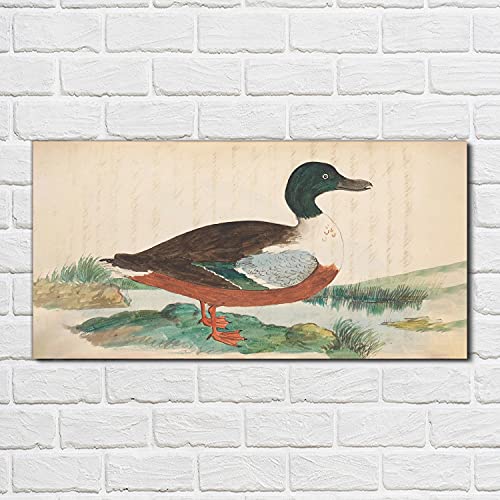 Impression sur verre acrylique premium au format 100x50cm d'oiseaux - 2