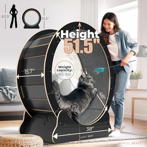 Image of Nordic Beast 48'' XL Cat Wheel - Safe, Quiet & Stable Exercise Wheel for Large Indoor Cats up to 45 lbs - 15.7'' Extra-Wide Surface Fits 2 Cats Side by Side & Prevents Wobbling, 1-Year Warranty
