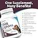 K9 Select HMR Lignans for Dogs - Enhancer for Overall Wellness, Immune Support for Dogs - Norway Spruce Extract Holistic Dog Health - Digestion, & Coat Care - Peanut Butter, 20mg, 90 Tablets