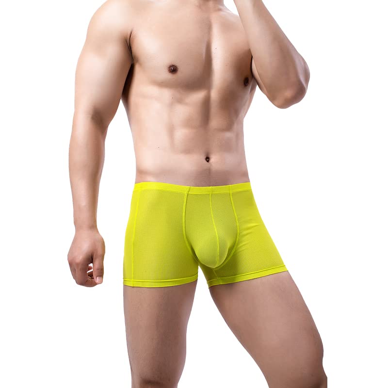 Evankin Mens Sexy Mesh Boxer Briefs Low Rise Underwear Breathable Hollowed Out Boxers3