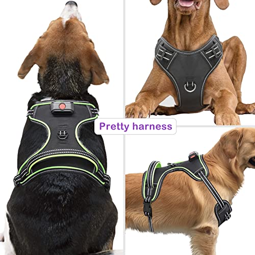 Image of Light Up Dog Harness, Rechargeable LED Dog Vest for Night Walking