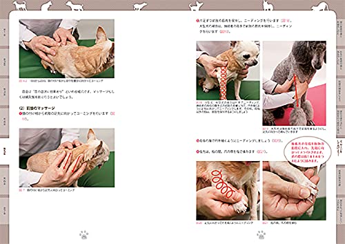 Amazon.co.jp: 石野 孝: 本、バイオグラフィー、最新アップデート
