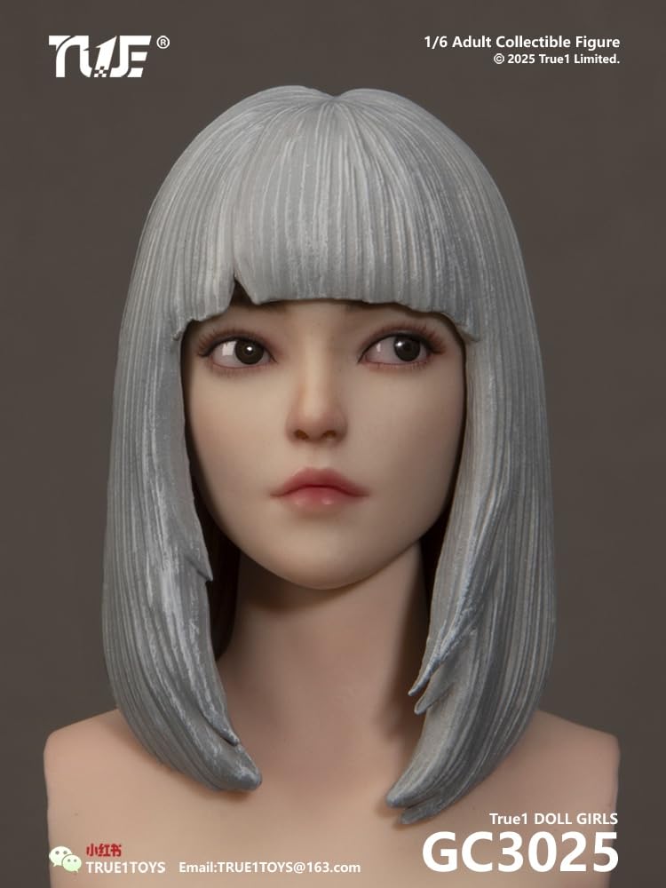 Amazon | [Tbmodel] True1Toys 1/6フィギュア 超可動 関節 素体 ヘッド