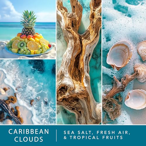 Scentsationals Wax Melts Staycation 4-Pack – Long Lasting Wax Cubes with Strong Scent for Warmers – Includes Frozen Lemonade, Caribbean Clouds, Warm White Sands & Dreamsicle Cream – 10oz (24-Cubes) - Thumbnail 3