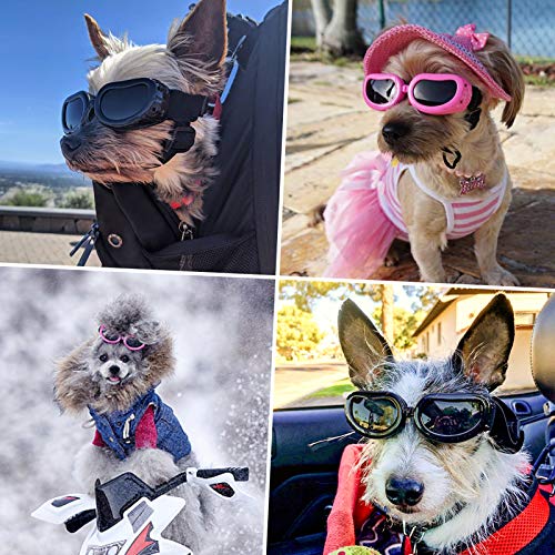 Hundebrille Namsan für Hunde mit UV-Schutz und verstellbarem Gurt