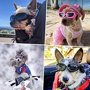 Namsan-Dog-Goggles-Small-Breed-Doggy-UV-Sunglasses-Windproof-Snowproof-Puppy-Glasses-for-Eyes-Protection-Black - Cucciolini Doodles Namsan-Dog-Goggles-Small-Breed-Doggy-UV-Sunglasses-Windproof-Snowproof-Puppy-Glasses-for-Eyes-Protection-Black
