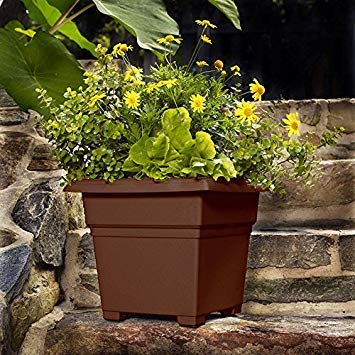 best moisture meter for soil Garden Soil Tester