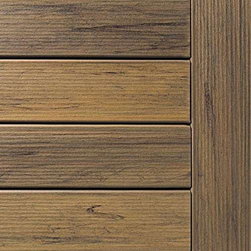 Image of Starborn Pro Plugs for TimberTech Tigerwood Decking - 375 Count