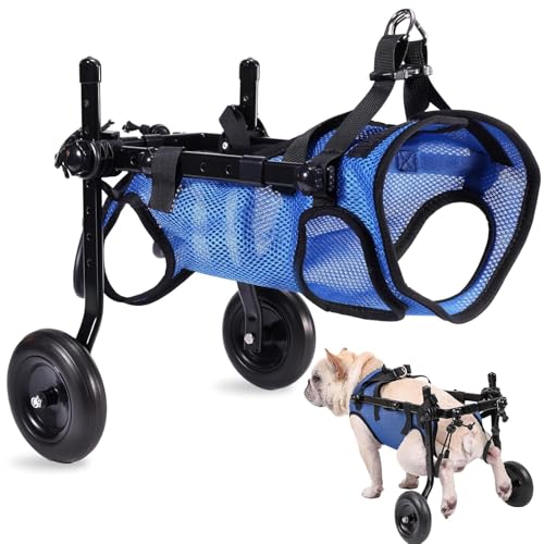 Silla de ruedas para perros: devuélvele la felicidad de pasear con este carrito 2
